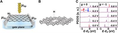 Manipulation of magnetization and spin transport in hydrogenated graphene with THz pulses